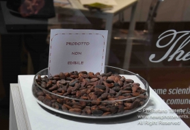 © Copyright Stefano Tonetto