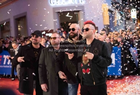 SPC_5473-1 © Copyright Stefano Tonetto