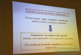 © Copyright Stefano Tonetto