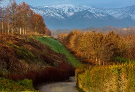 Copia-di-Locandina-01-17_11