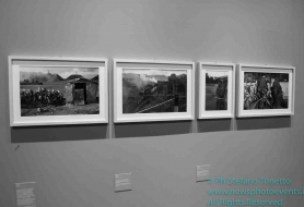 © Copyright Stefano Tonetto