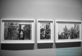 © Copyright Stefano Tonetto
