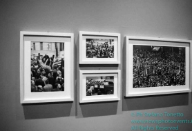 © Copyright Stefano Tonetto