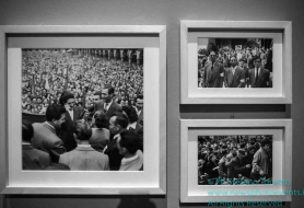 © Copyright Stefano Tonetto
