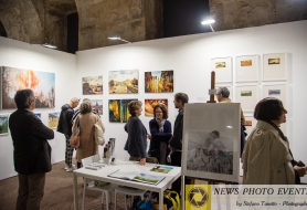 © Copyright Stefano Tonetto