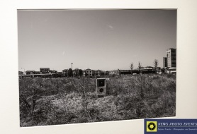 DSC_6813-1