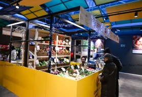 DSC4953