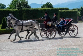 © Copyright Stefano Tonetto