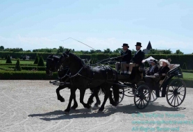 © Copyright Stefano Tonetto
