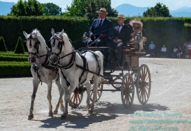 © Copyright Stefano Tonetto