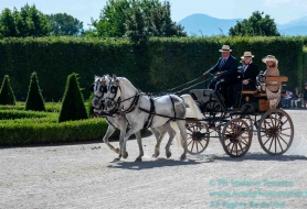 © Copyright Stefano Tonetto