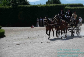 © Copyright Stefano Tonetto