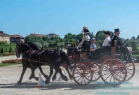 © Copyright Stefano Tonetto