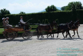 © Copyright Stefano Tonetto