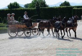 © Copyright Stefano Tonetto
