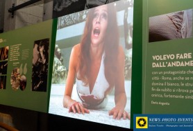 DSC_4563-1