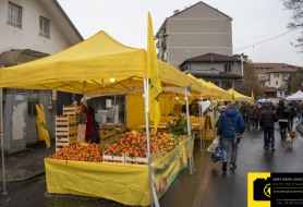 © Copyright Stefano Tonetto