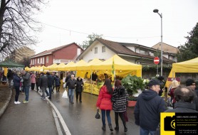 © Copyright Stefano Tonetto