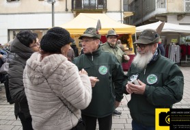 © Copyright Stefano Tonetto