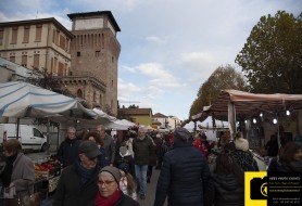 © Copyright Stefano Tonetto