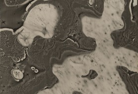 09_DE-ANTONIS-IX-1957