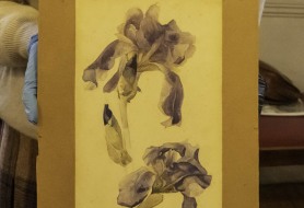 07