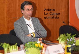 © Copyright Stefano Tonetto