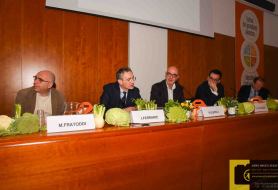 © Copyright Stefano Tonetto