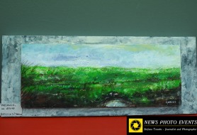 DSC_0105-1