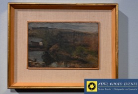 DSC_9786-1