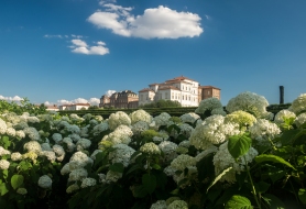 3°-CLASSIFICATO-La-Venaria-Reale_WILLIAMS-CANALE