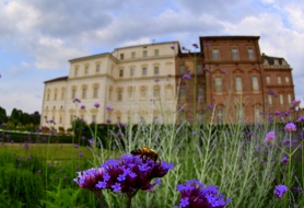 menzione-PREMIO-GREEN_GEMMA-FABIANA-BERTON