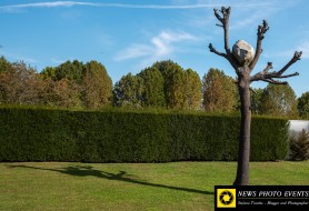 © Copyright Stefano Tonetto