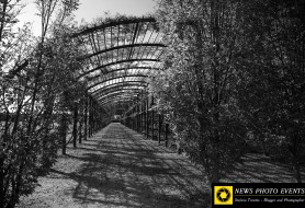 © Copyright Stefano Tonetto