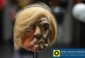 DSC_6250-1