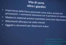 © Copyright Stefano Tonetto