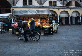 © Copyright Stefano Tonetto