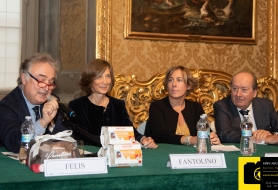 © Copyright Stefano Tonetto