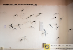 © Copyright Stefano Tonetto
