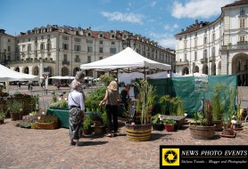 © Copyright Stefano Tonetto