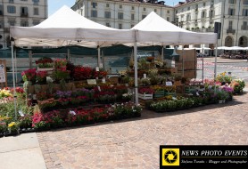 © Copyright Stefano Tonetto
