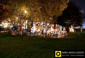 DSC_2783-1