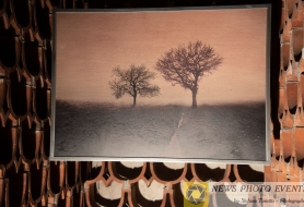 © Copyright Stefano Tonetto