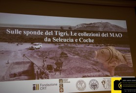 © Copyright Stefano Tonetto