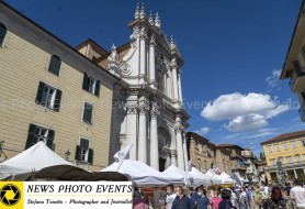 DSC_8385-1