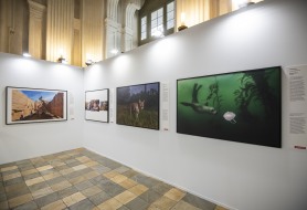 FTM-PalazzoMadama-WorldPressPhoto21-Ph-Perottino-084