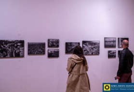 DSC_4535