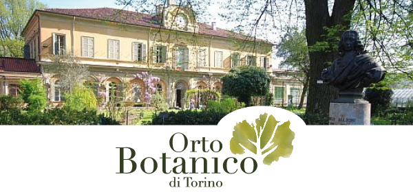 Aggiornamenti dall’Orto Botanico di Torino – Settembre 2021