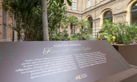 Cortile aperto: Flora dell’Antico Egitto