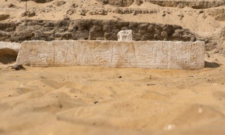 Archeologi del Museo Egizio, del Ministero delle Antichità Egiziane e del Museo delle Antichità di Leiden scoprono a Saqqara una tomba di 3200 anni fa